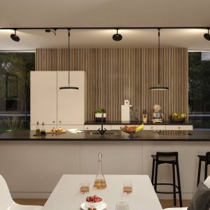 Paulmann URail Hildor suspension LED noir 4 000K