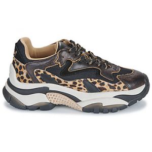 Ash Baskets basses ADDICT Noir - Taille 36,37,38,39,40