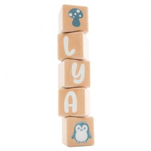 5 cubes 5x5cm + 66 stickers blancs