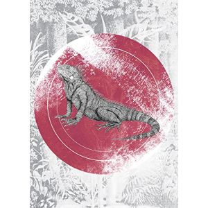 Komar Affiche d'art - Iguana Circle - Taille: 50 x 70 cm - noir, blanc, rouge