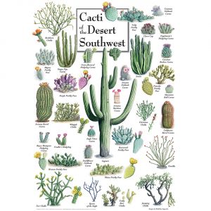 Master pieces Cacti of the Desert Southwest