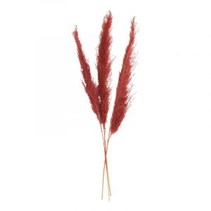 Atmosphera Pampa naturel set 3 H. 110 cm Rouge rubis