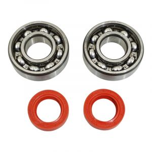 1tek origine Roulement d'embiellage et joint acier P2R Peugeot 50 Ludix, Speedfight 3, Jet Force, Kisbee-Django, Citystar 2T