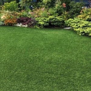 Décoweb Gazons naturels - Gazon synthétique Vitalité - 30mm - 3m x 4m