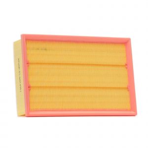 RIDEX Filtre à air avec préfiltre 8A1180 FORD,Transit Custom V362 Kastenwagen (FY, FZ),Transit V363 Kastenwagen (FCD, FDD)