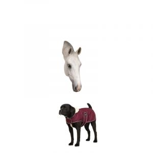 Couverture pour chien polaire Diego & Louna Teddy