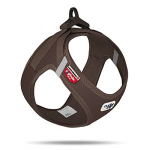 Curli Harnais pour chien Softshell