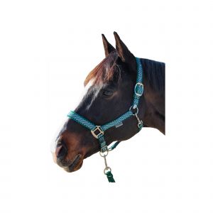 Ensemble licol et longe pour cheval Canter Sonoma