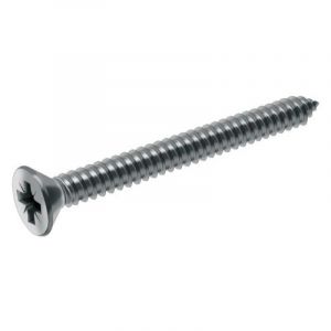 Image de Acton Vis &agrave; t&ocirc;le t&ecirc;te frais&eacute;e pozidriv inox A2, diam&egrave;tre 3,9 mm, longueur 15,9 mm, bo&icirc;te de 100 vis