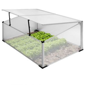 ECD Germany Mini Serre de Jardin sans Fond &agrave; 2 Trappes 100x60x40 cm en Polycarbonate