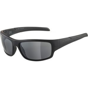 Alpina Testido Lunettes, noir Lunettes