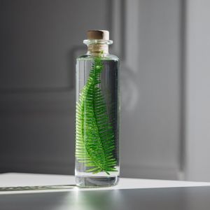 Th&eacute;ophile Berthon Plante immerg&eacute;e Foug&egrave;re montagnes H21