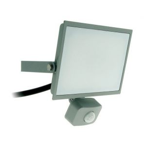 Image de Profile - Prolight PROJECTEUR LED 20W DETECTEUR GRIS