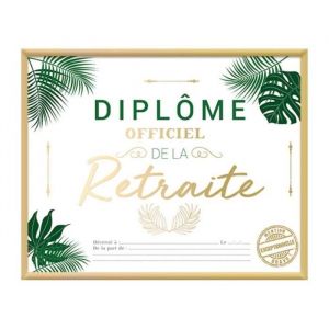 Image de Cadre dipl&ocirc;me officiel retraite 20.5x25.5cm - g&eacute;n&eacute;rique cd6476_08