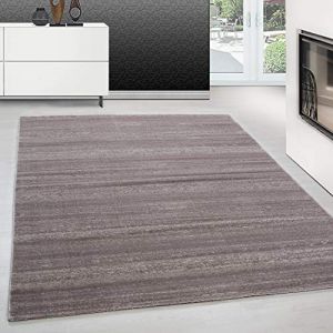 Teppium Tapis Salon Moderne Tapis Chambre Beige-1 240 x 340 cm - Tapis à Poils Courts, a Poil Ras, Unicolor - Monochrome Moelleux et Doux - Tapis Cuisine Moquette Salle de Sejour