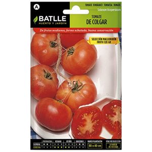 Batlle Semillas Semences de tomates à Suspendre de Mayorque