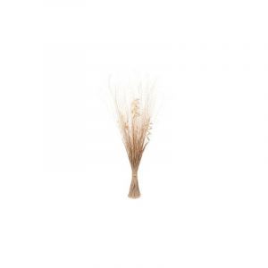 AC-Déco Plantes artificielles - Fagot garni de plantes beiges - H 100 cm Beige