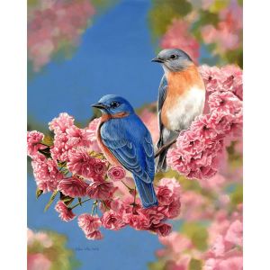 Peinture au numéro : Couple d'oiseaux bleus - sans châssis en bois