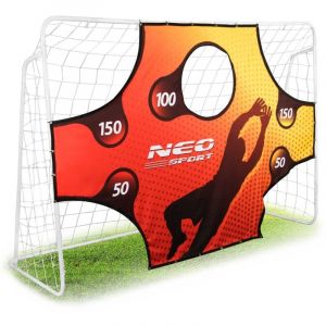 But de football 245 x 155 x 80 cm + tapis de but