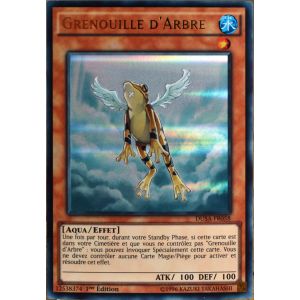 Image de Konami Dusa-Fr058 - Carte Yu-Gi-Oh Grenouille D'arbre (Rainette) Fr