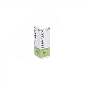 Pranarôm Tea Tree Huile Essentielle Bio 10 ml