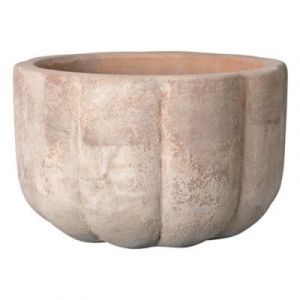 Deroma Coupe Pumkin 36cm