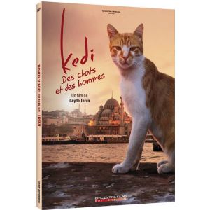 Image de Kedi - Des Chats Et Des Hommes [DVD]