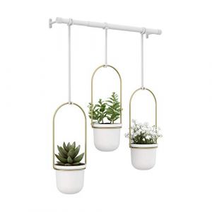 Umbra Triflora Ensemble de 3 pots suspendus, Ajustable Jardinière d'intérieure Suspendue avec Rails, Blanc/Laiton