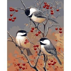 Figured'Art Peinture par Num&eacute;ro Adulte avec Cadre Oiseaux et Arbre Fruitier - Activit&eacute; Manuelle Kit de Loisir Cr&eacute;atif DIY Num&eacute;ro d'Art Complet - 40x50cm toile tendue sur ch&acirc;ssis