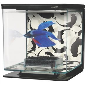 Image de Marina Aquarium Betta Kit 2 litres Ying Yang