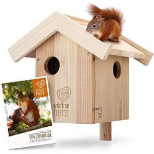Nichoir Pour Ecureuil en Bois - Maison Pour Cureuils, Imperméable et Résistant