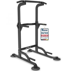 DH FitLife Dip Station
