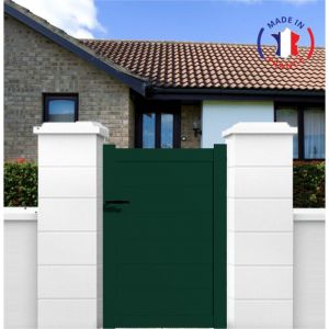 Packit Portillon aluminium modèle plein en kit dimensions L.1000 (entre piliers) x H.1700 mm Couleurs Vert (ral 6005)