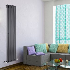 Image de Hudson Reed TDRBSP3 - Radiateur vertical Design en Acier 1780 x 420 mm rang unique