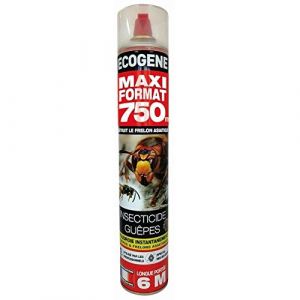 Ecogene AEROSOL GUEPES NIDS FRELONS LONGUE PORTEE 6M MAXI FORMAT 750ML