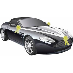 Ruedelafete Kit D&eacute;co Voiture 5 pi&egrave;ces, bicolore Blanc/Or