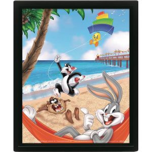 Pyramid Posters Cadre 3D lenticulaire Looney Tunes Beach Day