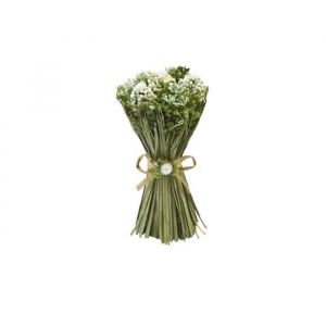 GERBE GYPSOPHILE GRAMINÉES SÉC ES 13 5CM BLANC Blanc