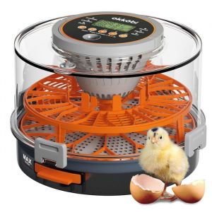 Couveuse Automatique Okk&ouml;bi 12/20 &OElig;ufs - Incubateur avec Retournement Humidit&eacute; et Temp&eacute;rature R&eacute;glables