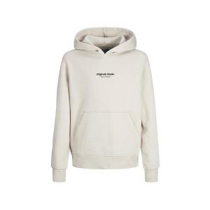 Jack & Jones Sweatshirt &agrave; capuche gar&ccedil;on veste