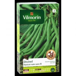 Vilmorin Haricot Divinel Sachet de graines - Cr&eacute;ation - Naine et sans fil - Gousses vert fonc&eacute; l&eacute;g&egrave;rement marbr&eacute;es -Qualit&eacute; gustative remarquable