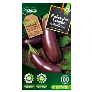 Protecta Graine d'aubergine violette de Barbentaine
