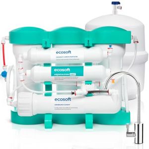Ecosoft P'URE AquaCalcium Mint Filtre &agrave; osmose inverse pour la maison, filtre 99 | 8 purcent des polluants de l'eau | min&eacute;ralise l'eau potable avec du calcium | avec r&eacute;servoir d'eau