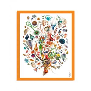 Carthusia Pareo de algod&oacute;n A'mmare fondo blanco borde naranja