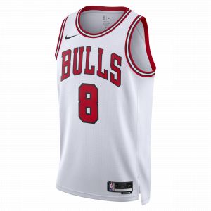 Nike Maillot de basketball homme zach lavine chicago bulls association edition 2023/2024