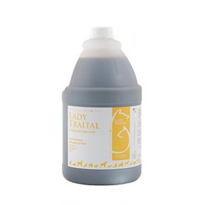 Ladybel Shampoing Lady Traital Anti-Irritations et Anti-Pellicules 4L