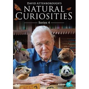 David Attenborough'S Natural 4 [Edizione: Regno Unito] [Import italien] [DVD]