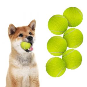ALL FOR PAWS Hyper Fetch 3198 Lot de 6 balles de Tennis Super Bounce