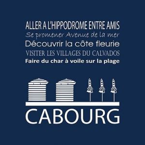 Artis Toile 30x30 cabourg navy