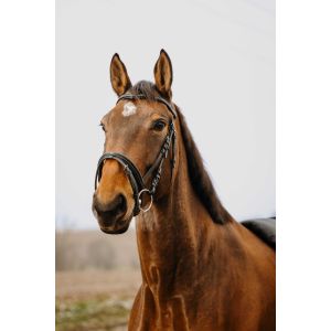 Norton clipper Bridon équitation Strass V